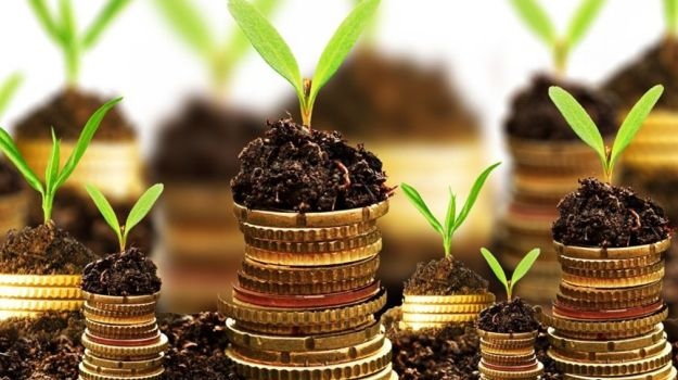 НАБУВ ЧИННОСТІ ЗАКОН ПРО ПРОДОВЖЕННЯ ЗЕМЕЛЬНОГО МОРАТОРІЮ ДО 2020 РОКУ