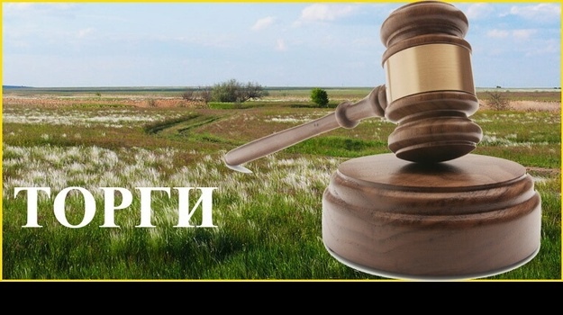В Украине запустят электронные земельные аукционы