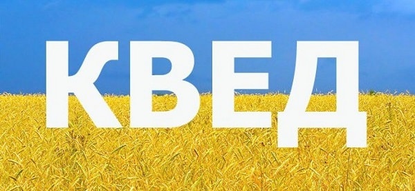 Реєстрація зміни видів діяльності КВЕД