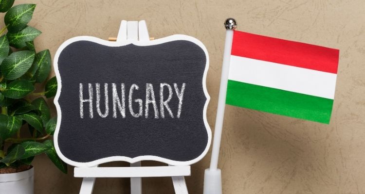 Liquidation of a company in Hungary